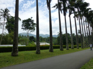 BOTANICKÁ ZAHRADA PERADENIYA